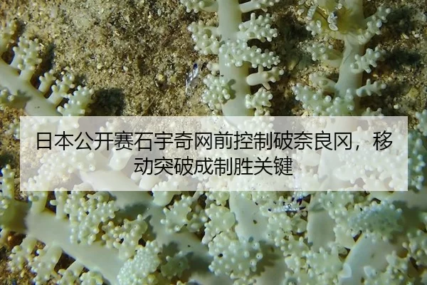ri-ben-gong-kai-sai-shi-yu-qi-wang-qian-kong-zhi-po-nai-liang-gang-yi-dong-tu-po-cheng-zhi-sheng-guan-jian-3-951.jpg